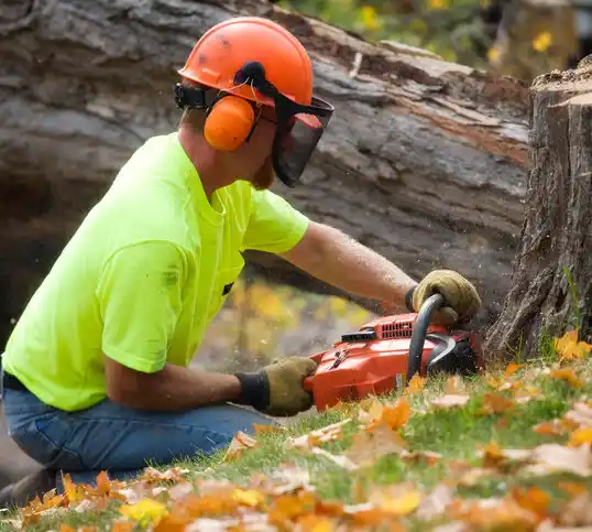 tree services Central Islip